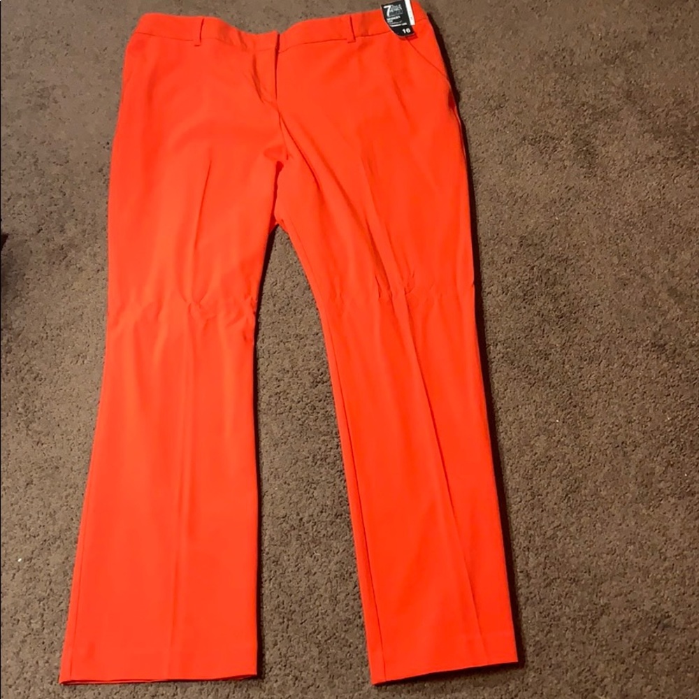 New